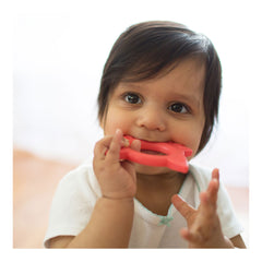 Dr Browns "Flexees" Friends Fox Teether - Red - 3 months
